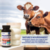 Highly Potent Bovine Colostrum Capsules - 5250 MG with 40% IgG & Probiotics for Immunity, Gut Health, and General Wellness