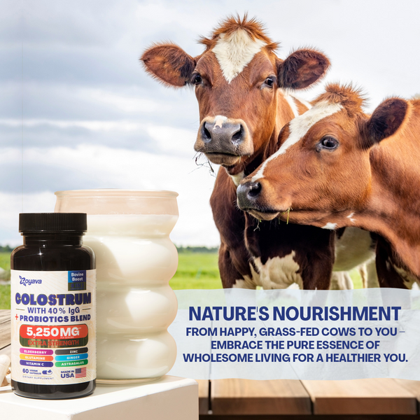 Highly Potent Bovine Colostrum Capsules - 5250 MG with 40% IgG & Probiotics for Immunity, Gut Health, and General Wellness