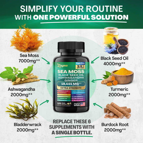 Magic Moss 16-in-1 Super Blend
