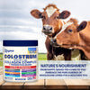 Zoyava Colostrum Powder – 40% IgG, 13-in-1 Extra Strength Formula with Collagen, Probiotics & Immune Support