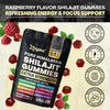 Multiple Wellness Shilajit 60 Gummies - Berry