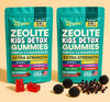 ZeoShield Kids — Family 2-Pack Subscription